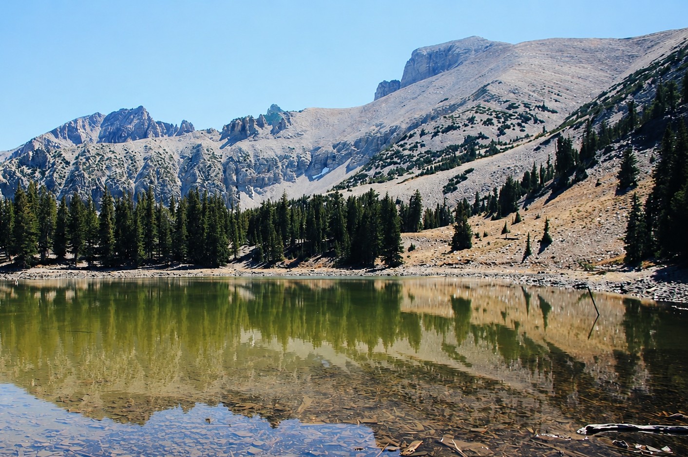 Great Basin high desert near Ely, White Pine County, Nevada